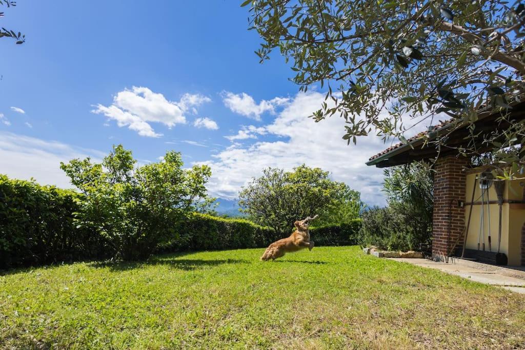 Villa Bruno Selvago In Lessona Exterior foto