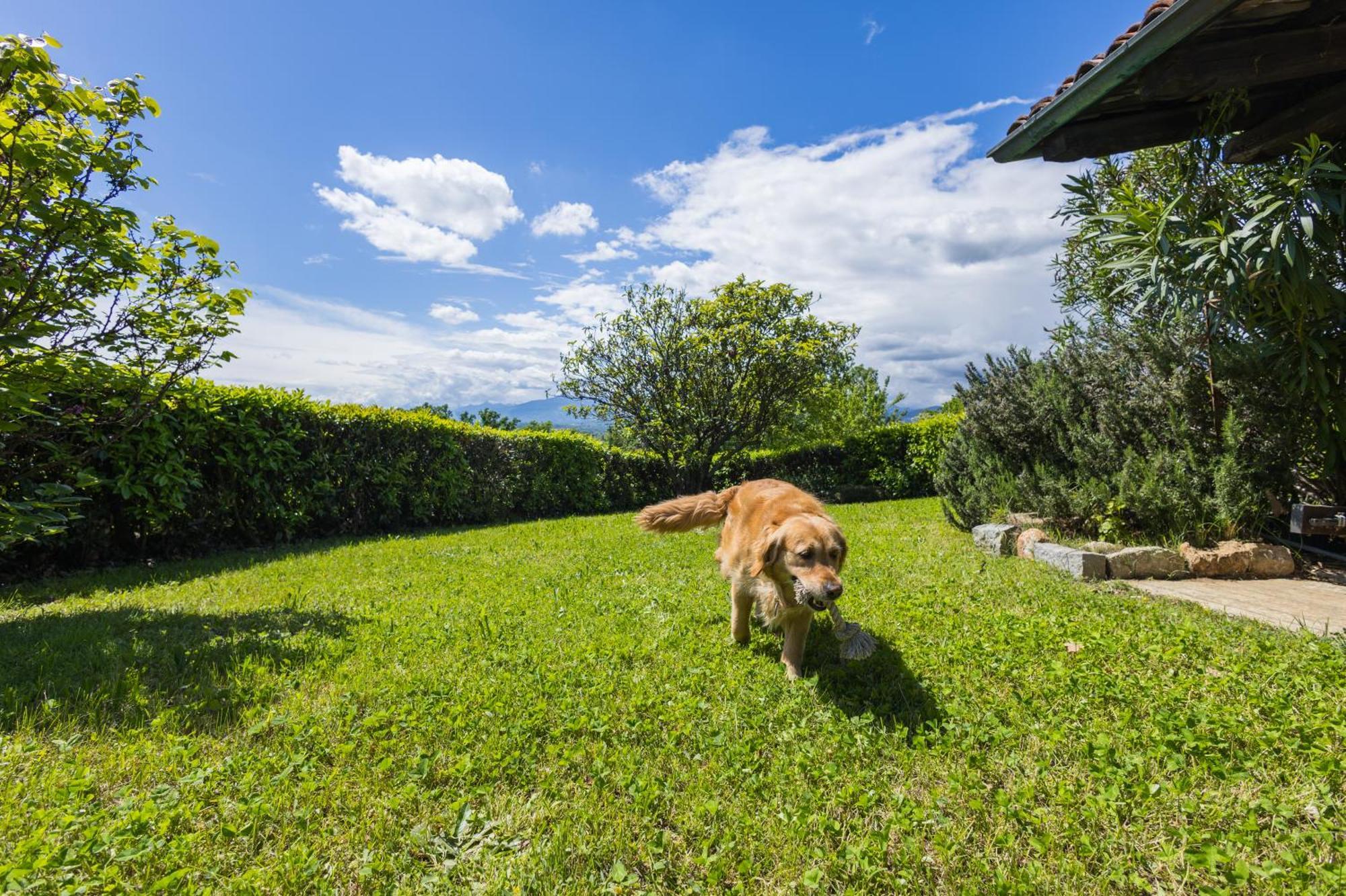 Villa Bruno Selvago In Lessona Exterior foto